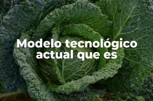 Modelo Tecnológico Actual que es