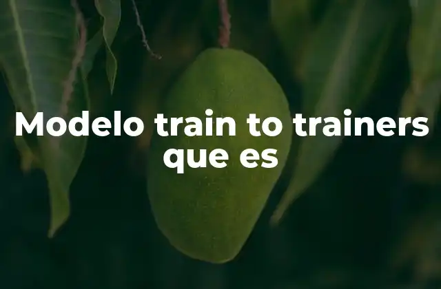 Modelo Train To Trainers que es