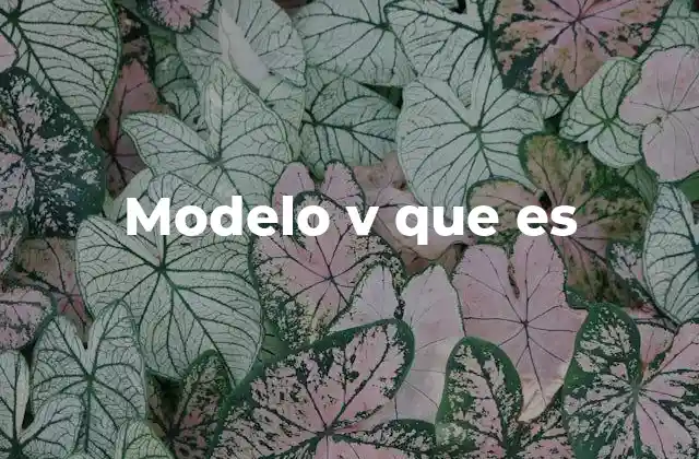 Modelo V que es