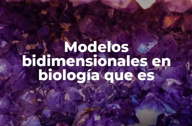 Modelos Bidimensionales en Biología que es 2 La importancia de los modelos en la comprensión biológica
