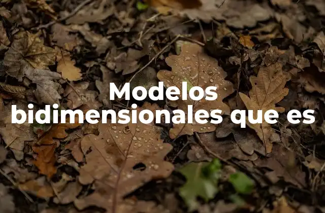 Modelos Bidimensionales que es