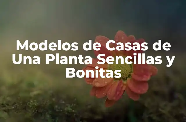 Ventajas de las Casas de Una Planta Sencillas y Bonitas