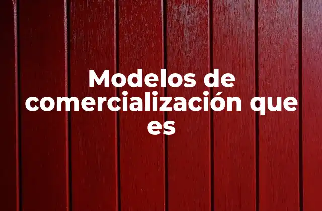 Modelos de Comercialización que es