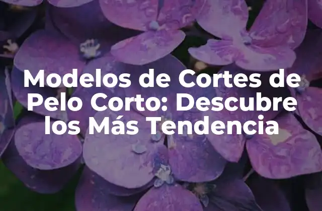 Modelos de Cortes de Pelo Corto: Descubre los Más Tendencia 2 Beneficios de los Cortes de Pelo Corto