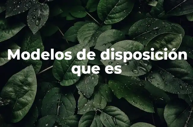 Modelos de Disposición que es