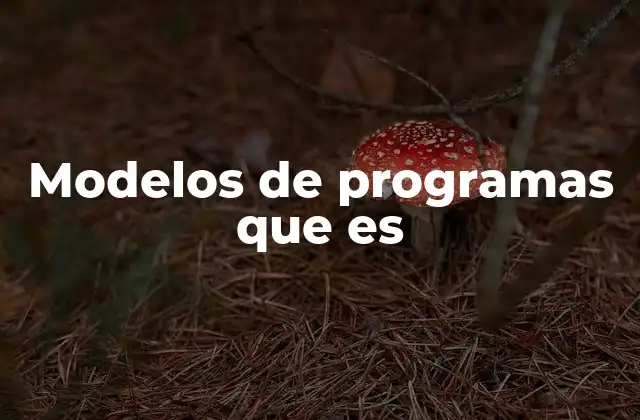 Modelos de Programas que es