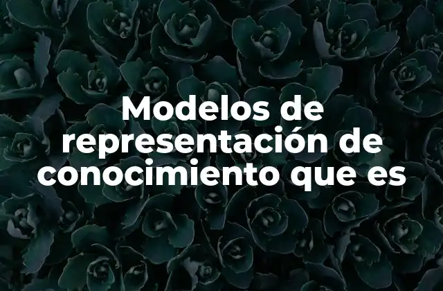 Modelos de Representación de Conocimiento que es