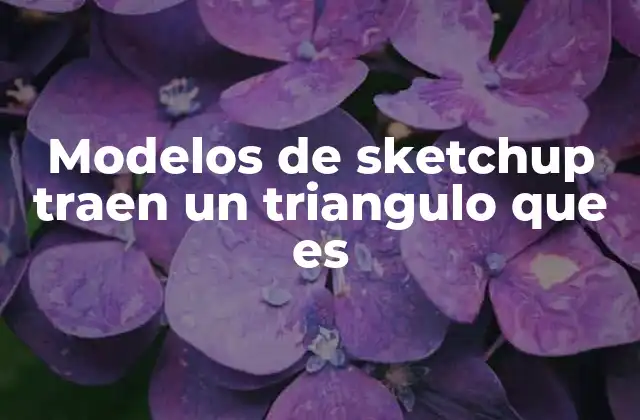 Modelos de Sketchup Traen un Triangulo que es