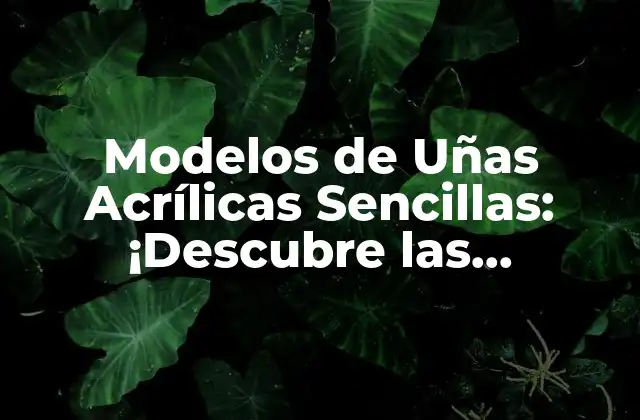 Modelos de Uñas Acrílicas Sencillas: ¡descubre las Tendencias Del Momento!