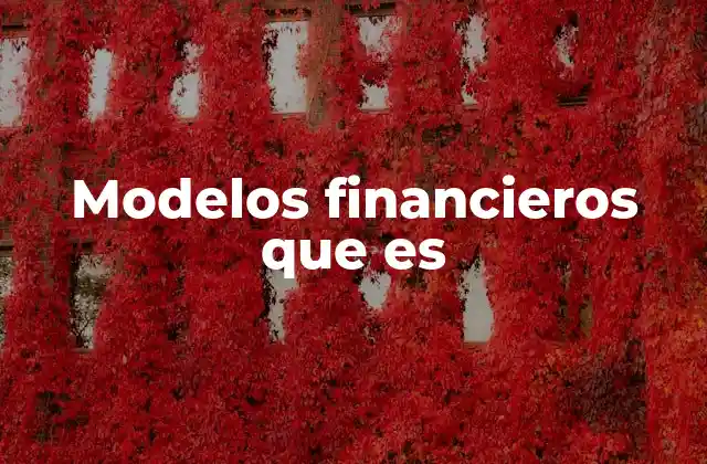 Modelos Financieros que es
