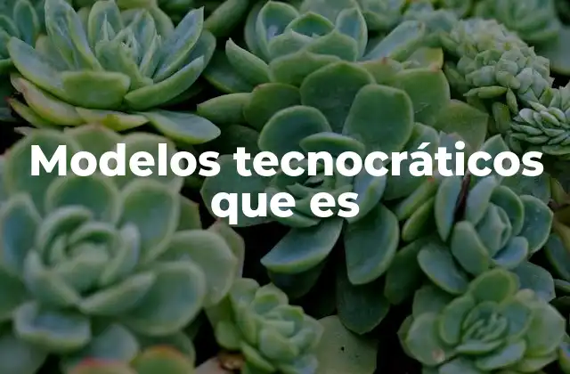 Modelos Tecnocráticos que es