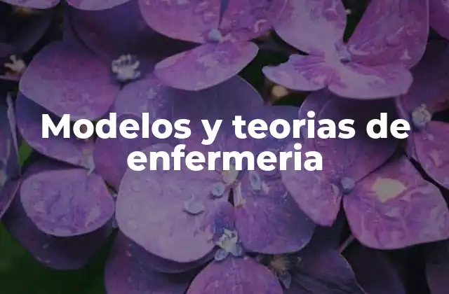 Modelos y Teorias de Enfermeria