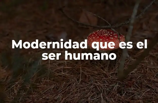Modernidad que es el Ser Humano