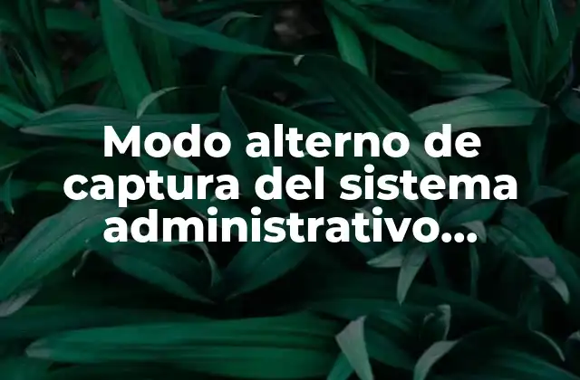 Modo Alterno de Captura Del Sistema Administrativo Empresarial que es
