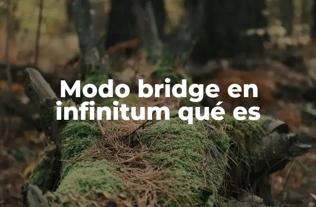 Modo Bridge en Infinitum Qué es