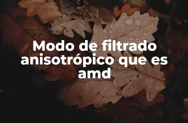 Modo de Filtrado Anisotrópico que es Amd 2 La importancia del filtrado anisotrópico en la tecnología gráfica moderna