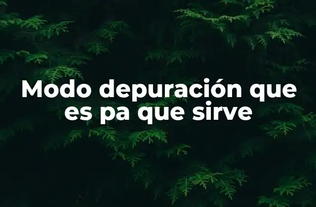 Modo Depuración que es Pa que Sirve