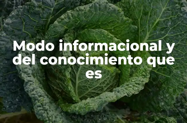 Modo Informacional y Del Conocimiento que es