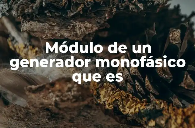 Módulo de un Generador Monofásico que es