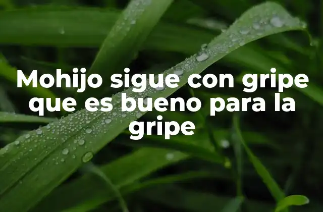 Mohijo Sigue con Gripe que es Bueno para la Gripe