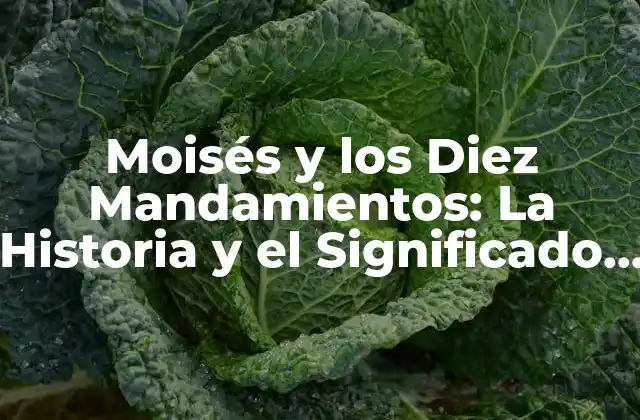 Moisés y los Diez Mandamientos: la Historia y el Significado Detrás de los Mandamientos Bíblicos