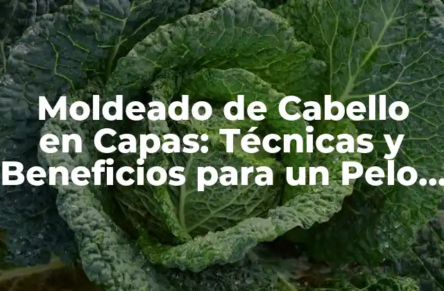 Moldeado de Cabello en Capas: Técnicas y Beneficios para un Pelo Saludable