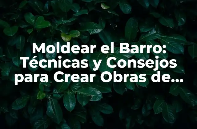 Moldear el Barro: Técnicas y Consejos para Crear Obras de Arte Únicas