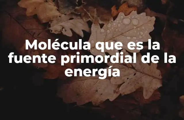 Cómo la célula obtiene energía sin mencionar directamente la molécula clave