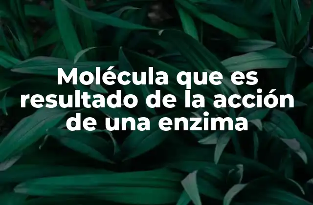 Molécula que es Resultado de la Acción de una Enzima