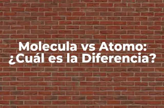 Molecula Vs Atomo: ¿cuál es la Diferencia?