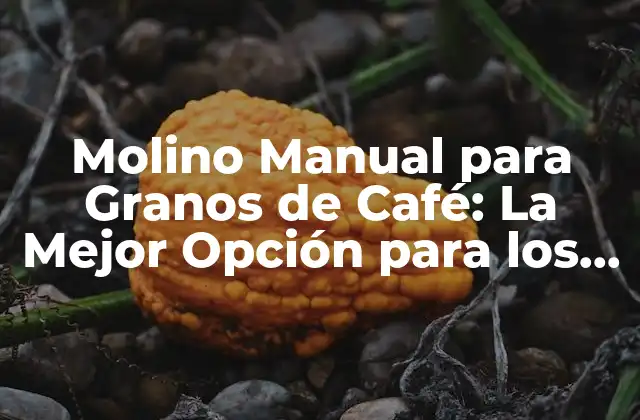 Molino Manual para Granos de Café: la Mejor Opción para los Amantes Del Café