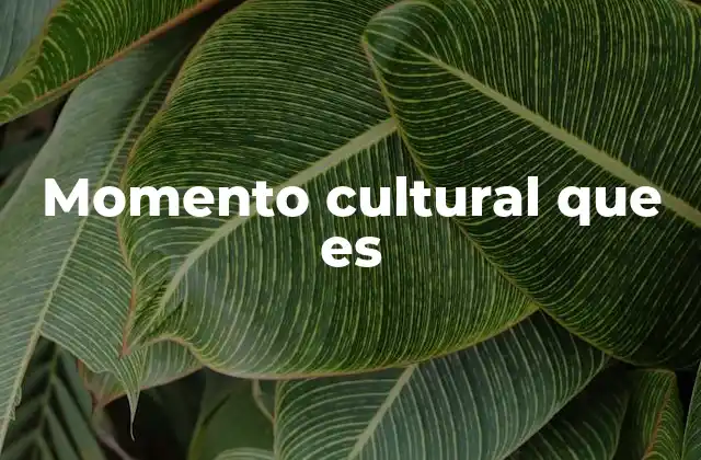 Momento Cultural que es
