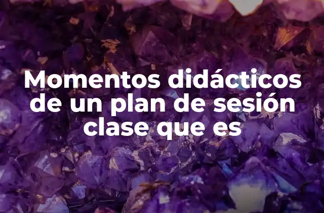Momentos Didácticos de un Plan de Sesión Clase que es