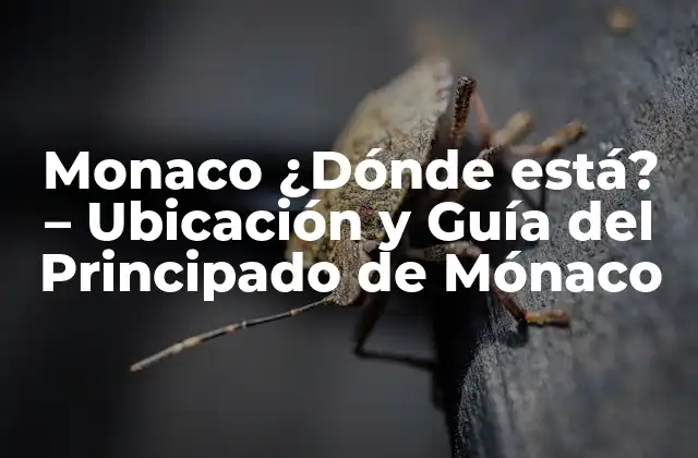Monaco ¿dónde Está? – Ubicación y Guía Del Principado de Mónaco