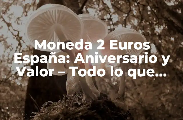 Moneda 2 Euros España: Aniversario y Valor – Todo Lo que Necesitas Saber
