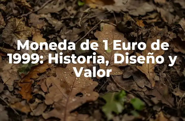 Moneda de 1 Euro de 1999: Historia, Diseño y Valor