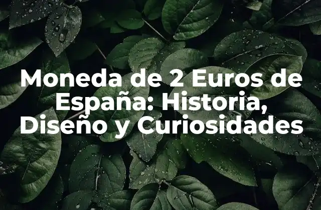 Moneda de 2 Euros de España: Historia, Diseño y Curiosidades