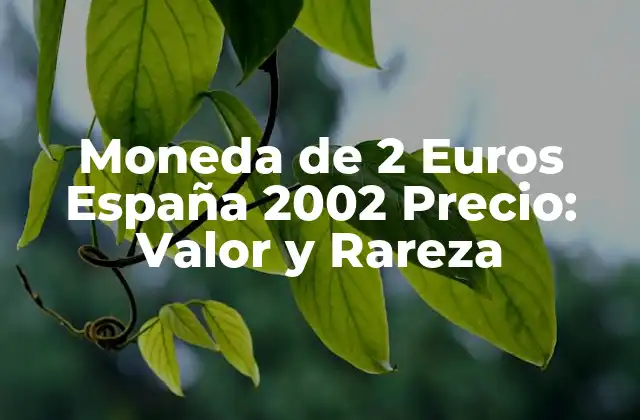 Moneda de 2 Euros España 2002 Precio: Valor y Rareza 2 Diseño y Características de la Moneda de 2 Euros España 2002