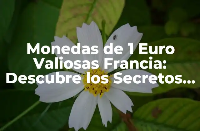 Monedas de 1 Euro Valiosas Francia: Descubre los Secretos de la Colección