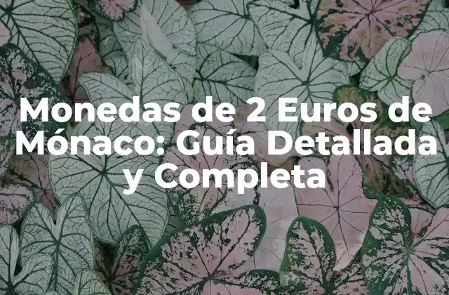 Monedas de 2 Euros de Mónaco: Guía Detallada y Completa