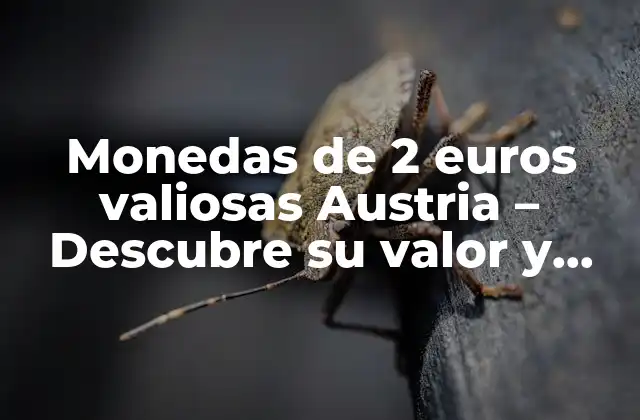 Monedas de 2 Euros Valiosas Austria – Descubre Su Valor y Rareza