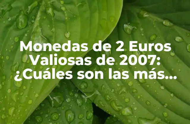 Monedas de 2 Euros Valiosas de 2007: ¿cuáles Son las Más Raras y Valiosas? 2 Diseño y Emisiones de las Monedas de 2 Euros de 2007