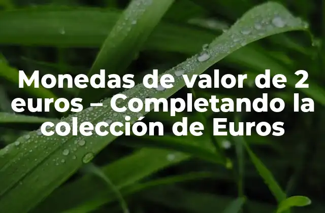 Monedas de Valor de 2 Euros – Completando la Colección de Euros