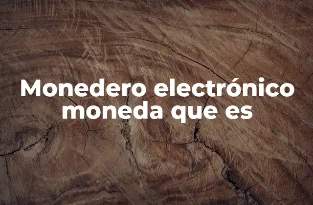 Monedero Electrónico Moneda que es