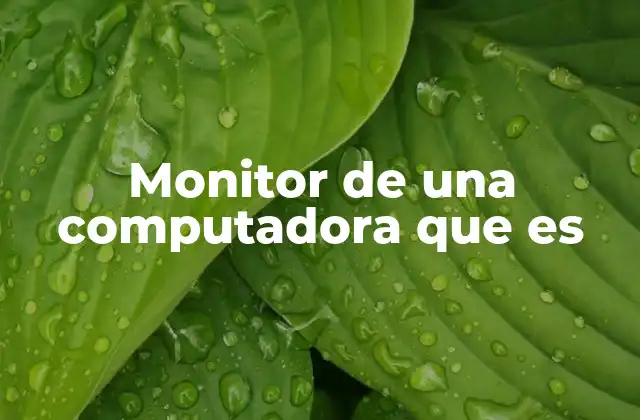 Monitor de una Computadora que es