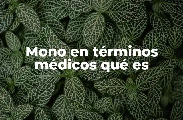 Mono en Términos Médicos Qué es
