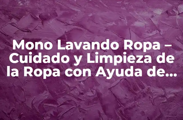 Mono Lavando Ropa – Cuidado y Limpieza de la Ropa con Ayuda de Nuestros Amigos