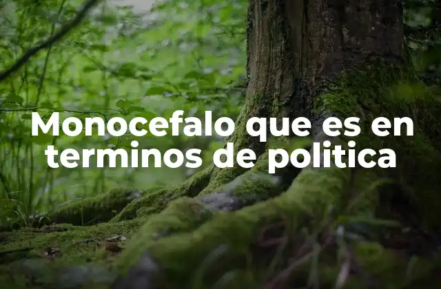 La concentración del poder en un solo líder