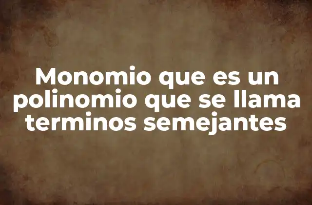 La importancia de los monomios en la construcción de polinomios