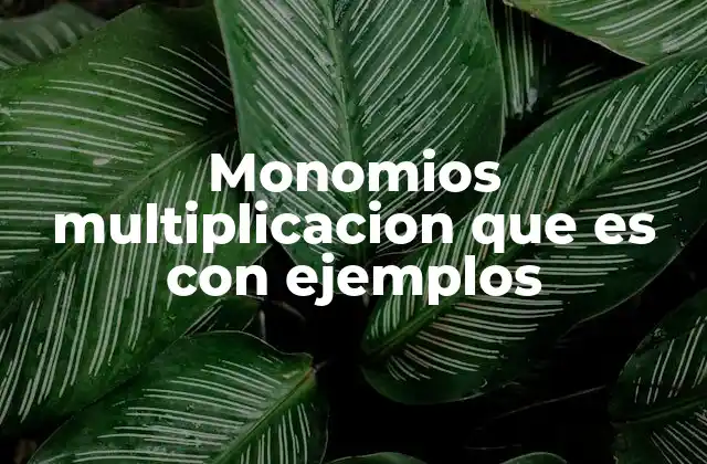 Importancia de la multiplicación de monomios en álgebra
